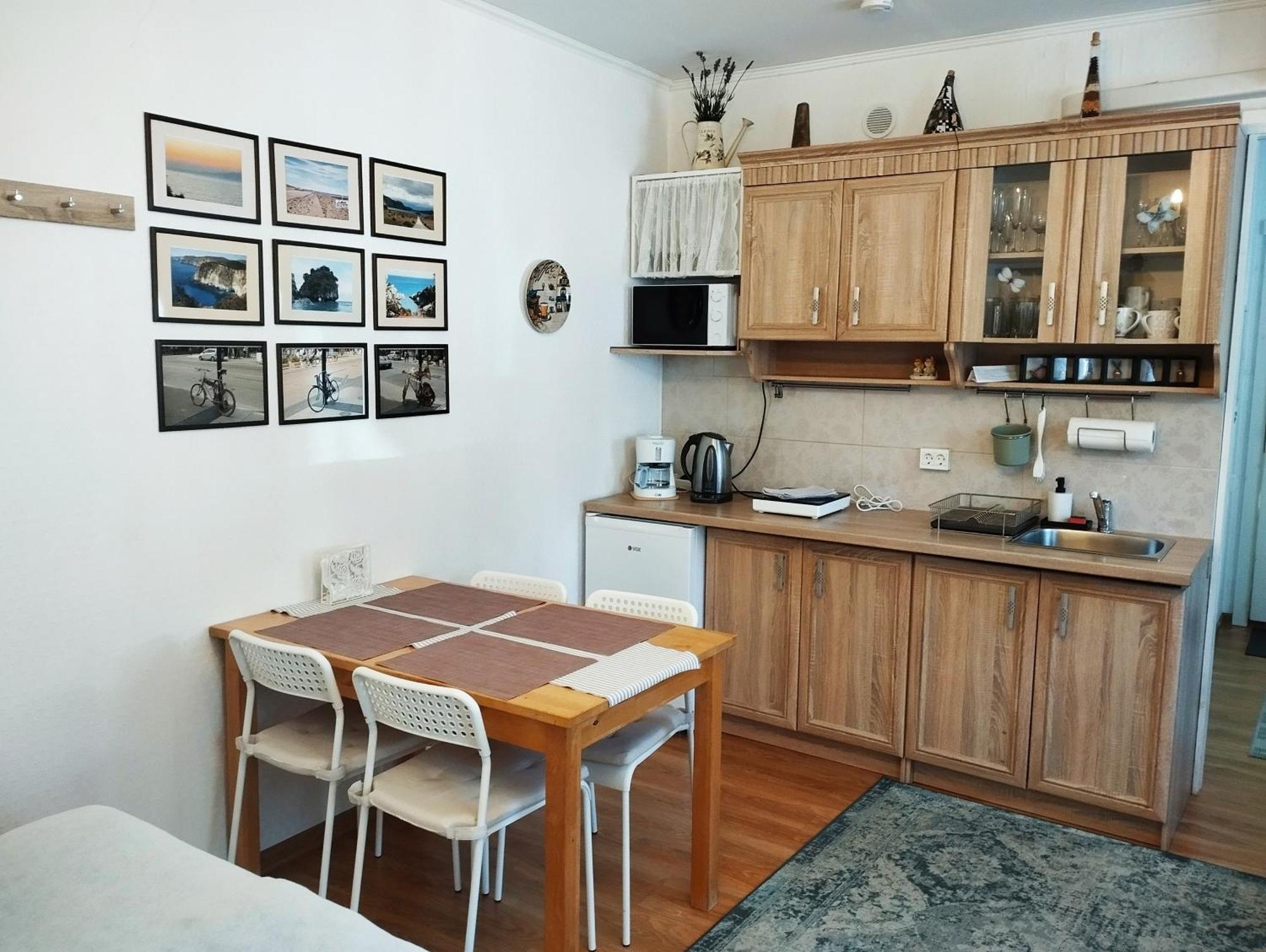 Eco-Lux Apart With Free Bicycles End Free Parking 卢布尔雅那 外观 照片