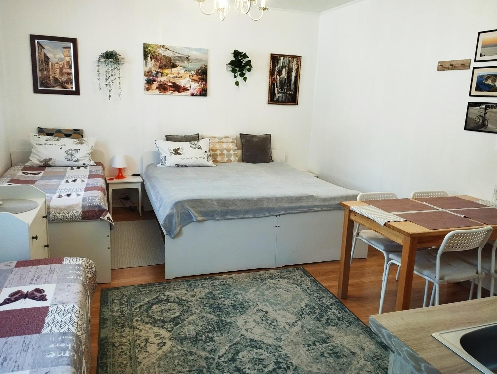 Eco-Lux Apart With Free Bicycles End Free Parking 卢布尔雅那 外观 照片